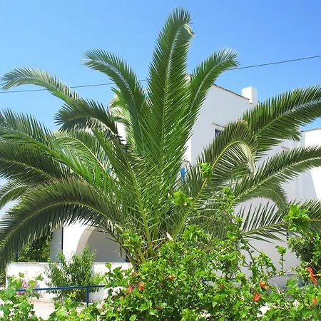Apartment Mavromatis Naxos City