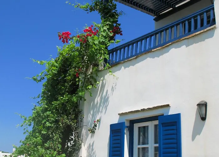 Mavromatis Naxos City